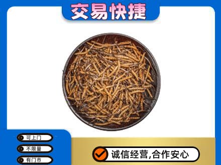 临安区回收散虫草